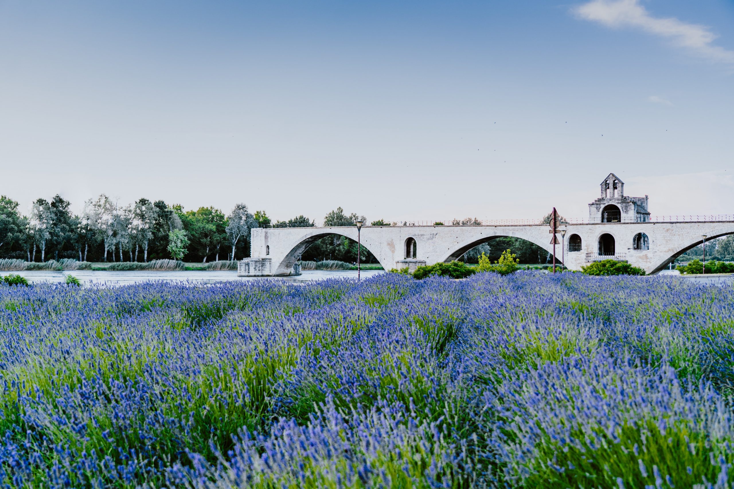 découvrez avignon au printemps, une ville où la nature s'épanouit et l'atmosphère devient festive. flânez dans ses ruelles historiques, admirez le palais des papes et profitez des jardins fleuris tout en savourant la cuisine locale dans un cadre enchanteur.