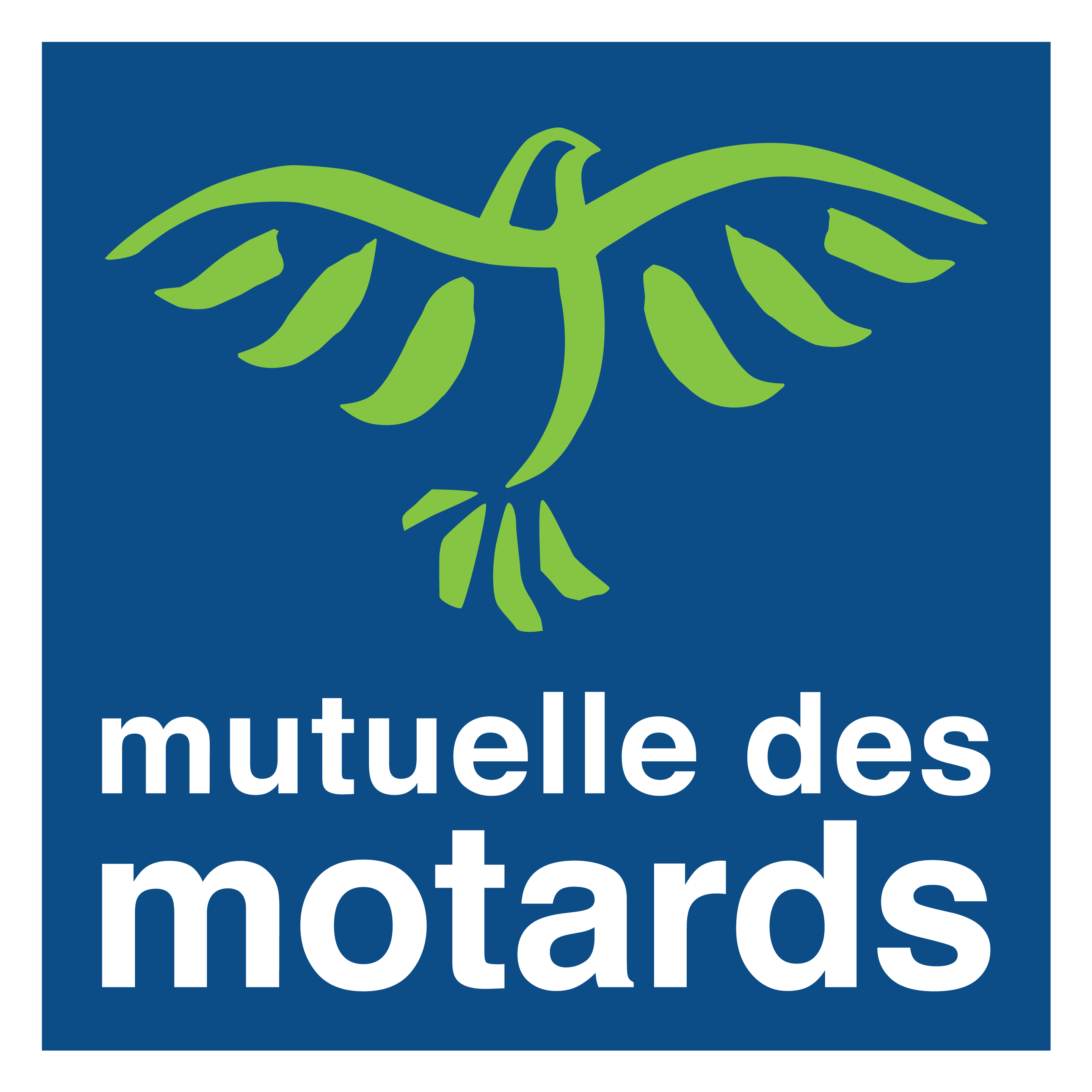 découvrez notre guide complet sur l'assurance motard, des conseils pour bien choisir votre couverture, aux avantages spécifiques pour les passionnés de moto. protégez votre véhicule et roulez l'esprit tranquille.