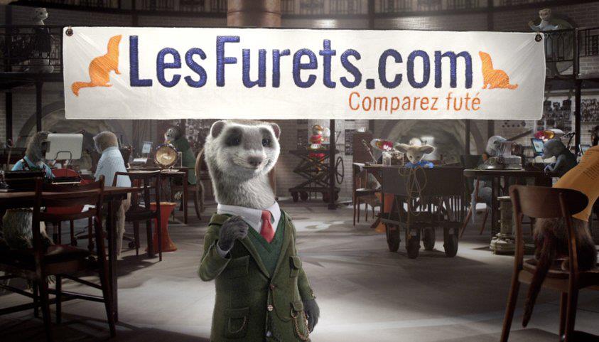 protégez votre compagnon à quatre pattes avec notre assurance spécialement conçue pour les furets. bénéficiez d'une couverture complète pour les soins vétérinaires, les maladies et les urgences, afin d'assurer leur bien-être et leur santé. explorez nos options flexibles et abordables pour une tranquillité d'esprit totale.