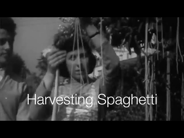 découvrez les origines intrigantes et les traditions fascinantes du poisson d'avril. explorez l'histoire de cette journée dédiée aux blagues et aux plaisanteries, ainsi que son évolution à travers les âges et les cultures.