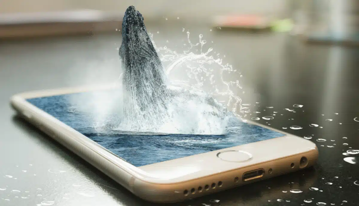 découvrez nos conseils pratiques et solutions efficaces pour gérer un sinistre téléphonique. protégez-vous contre les risques et apprenez les étapes à suivre en cas d'incident pour garantir votre sécurité et celle de vos appareils.
