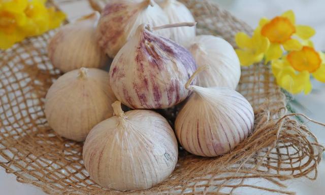découvrez les arils, ces délicieux tissus entourant les graines, et explorez leurs nombreux bienfaits pour la santé. apprenez comment intégrer ces super-aliments dans votre alimentation pour profiter de leurs propriétés nutritives et antioxydantes.
