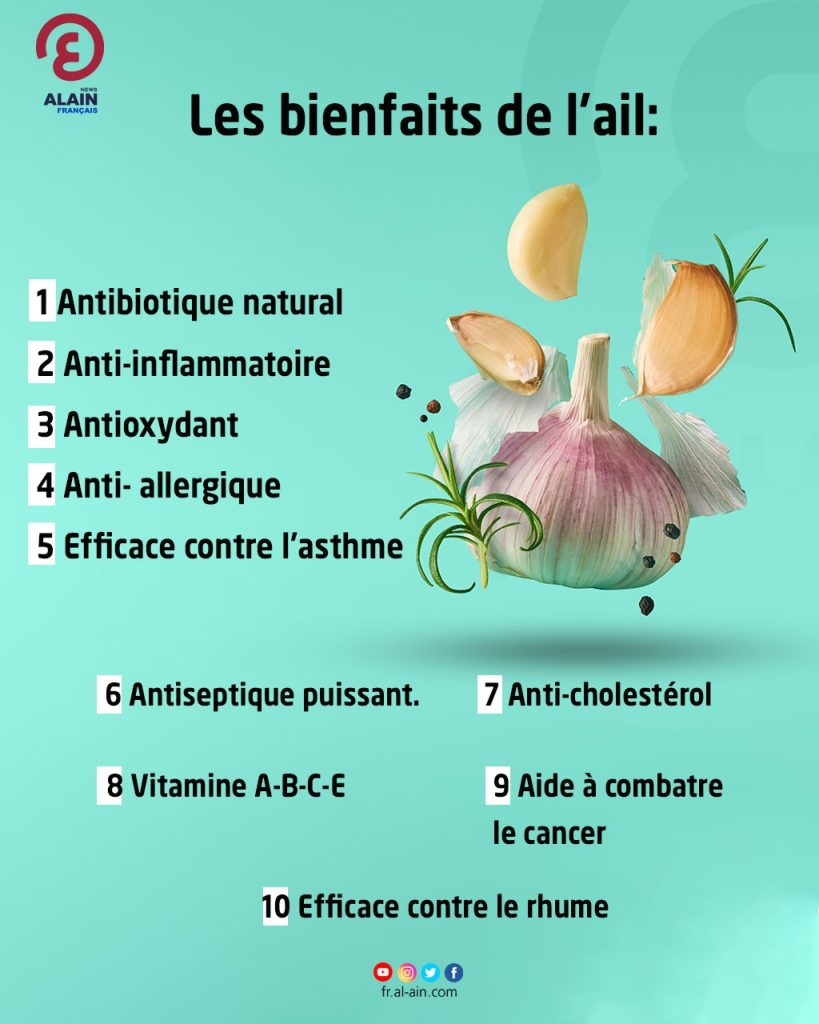 découvrez les arils et leurs bienfaits pour la santé. riches en antioxydants, vitamines et minéraux, les arils sont non seulement délicieux, mais contribuent également à améliorer votre bien-être. apprenez comment intégrer ces petites merveilles dans votre alimentation quotidienne pour profiter de leurs nombreuses vertus.