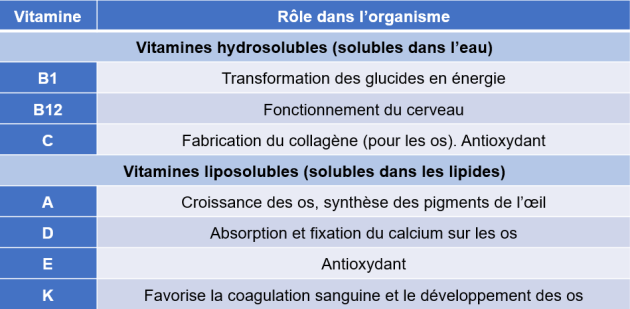 découvrez le rôle essentiel du courtier dans vos transactions financières et immobilières. explorez les avantages qu'il offre, tels que des conseils personnalisés, un accès à un large éventail d'options et une expertise pour faciliter vos décisions d'investissement.