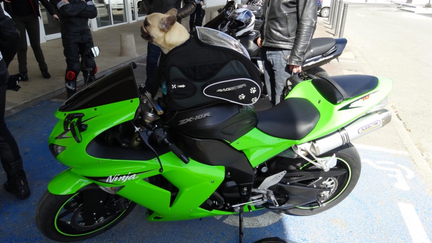 découvrez nos offres d'assurance pour deux-roues adaptées à votre budget et vos besoins. protégez votre moto ou scooter avec une couverture complète, des garanties sur mesure et une assistance 24/7. profitez de votre conduite en toute sérénité !