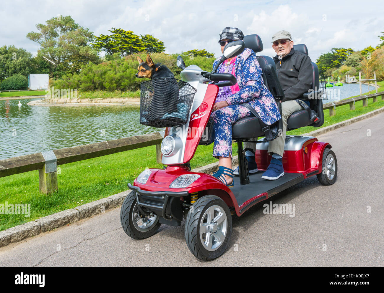découvrez notre sélection de scooters handicapés 2 places, spécialement conçus pour offrir confort et mobilité à deux passagers. équipés de fonctionnalités modernes, ces scooters sont idéaux pour faciliter vos déplacements tout en garantissant sécurité et facilité d'utilisation. explorez nos modèles variés et trouvez celui qui répondra parfaitement à vos besoins.